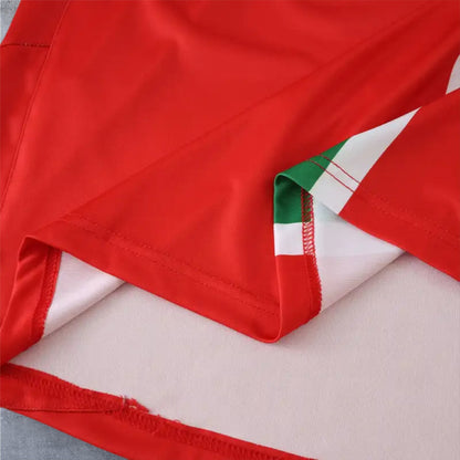 05-06 season Juventus F.C. away retro - Fan version