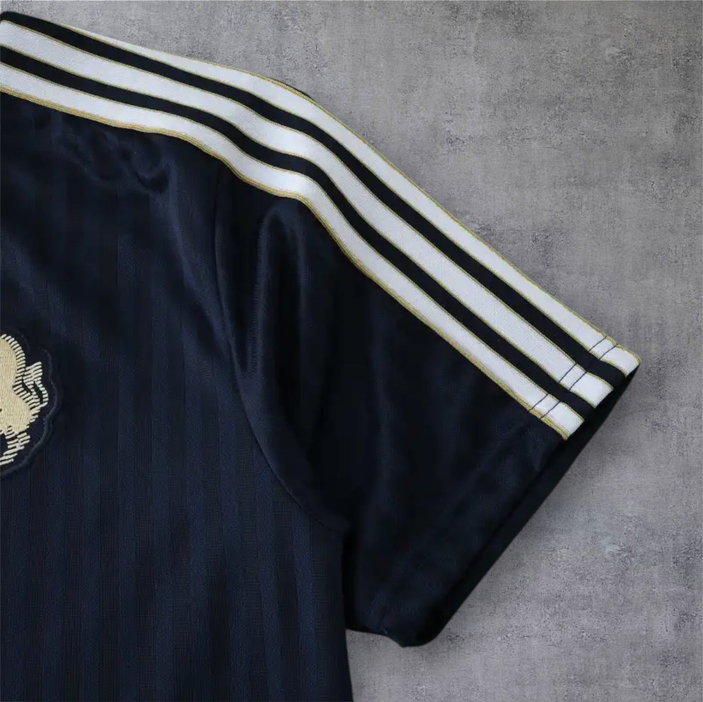 24-25 season Juventus F.C. Concept version - Fan version