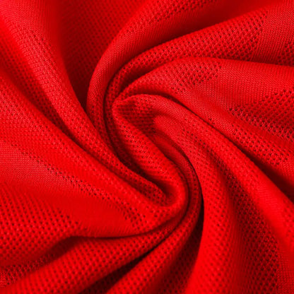 10-11 season Manchester United Home Retrò - Fan version