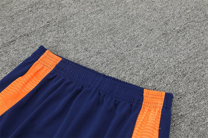 24-25 Juventus F.C. blue Training suit set