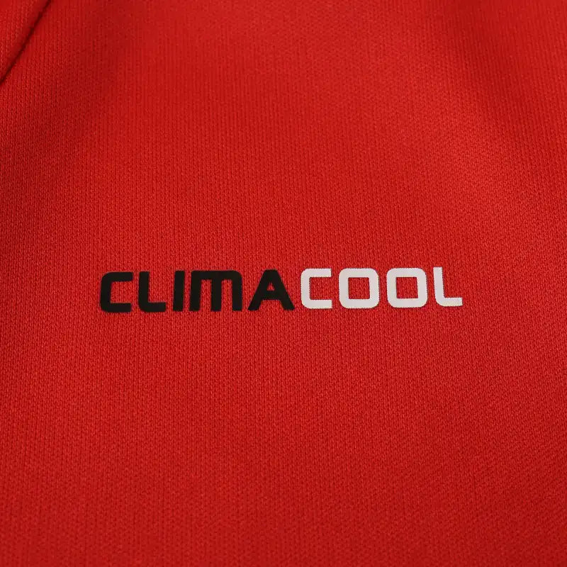 12-13 season A.C. Milan home Retrò Fan version