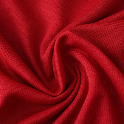 25-26 season Liverpool F.C. home - player version